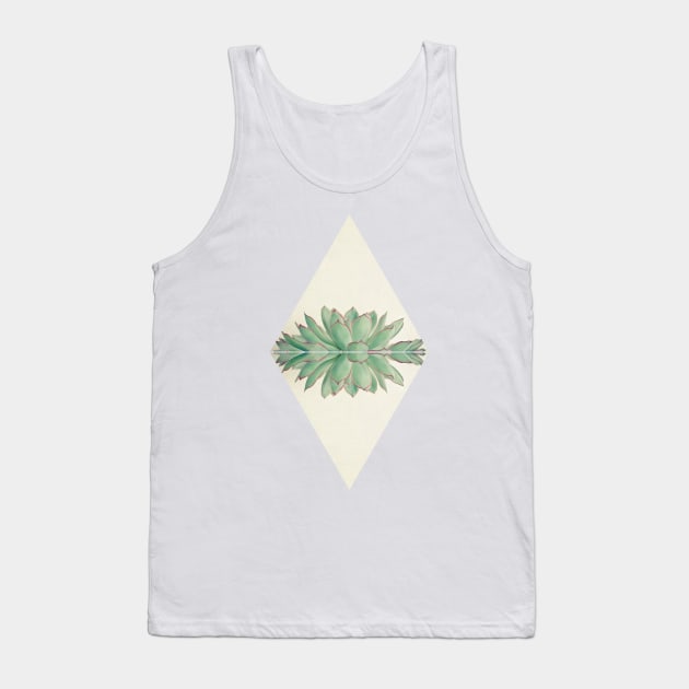 Echeveria II Tank Top by Cassia